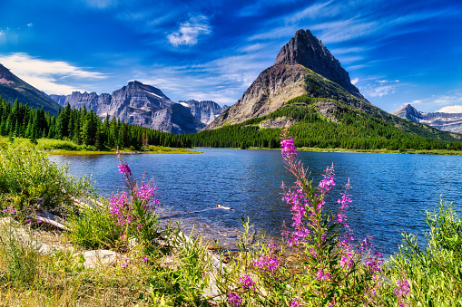 Swiftcurrent Lake and Grinnel Point in  Many Glacier region of Glacier National Park- Montana