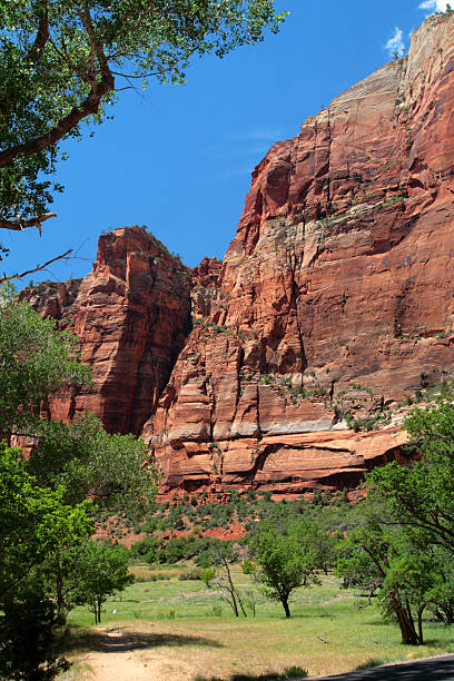 istock Zion National Park, USA 160100170