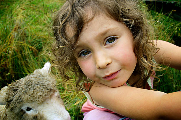 A little girl with wild hair climbs a gate while her pet sheep looks on in the background. Shot in rural New Zealand