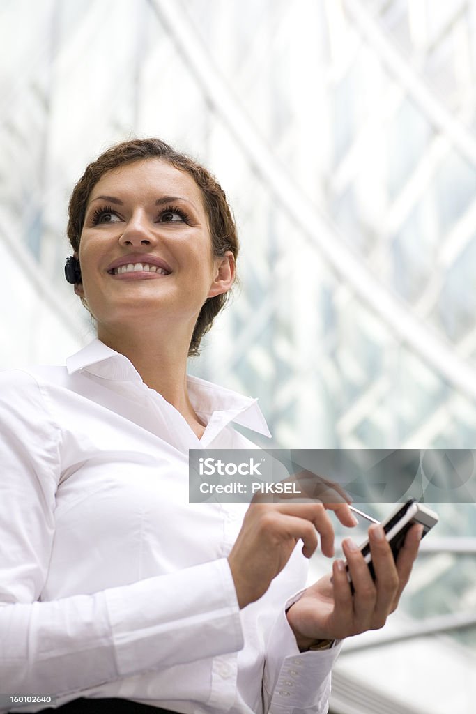 Mulher de negócios com palmtop - Royalty-free Adulto Foto de stock