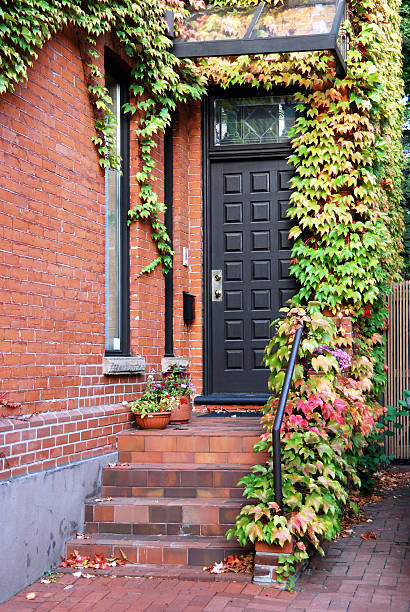 istock Modern door with colorful ivy 160103077