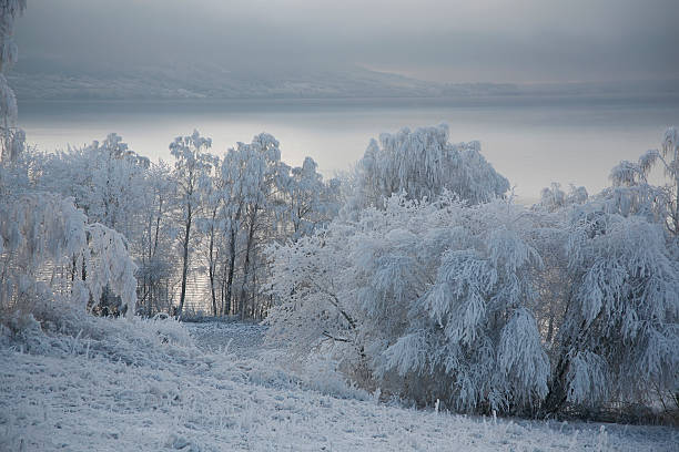 Cold Frozen Landscape Covered with Rime stock photo