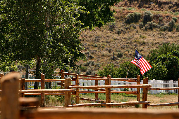 American - foto stock