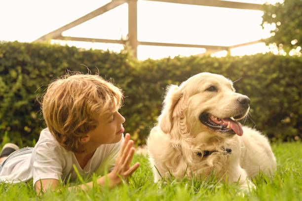 istock Boy lying on grass with dog in park 1601047145