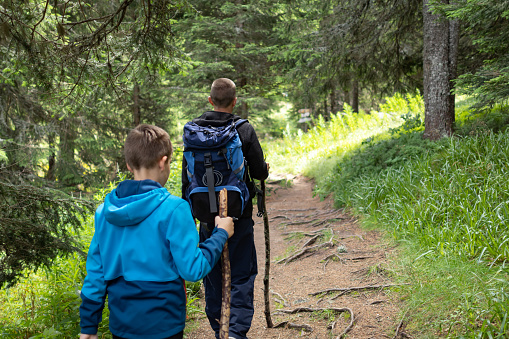 Father and his son are hiking through the forest. Family time, enjoying walking and exploring the mountain.