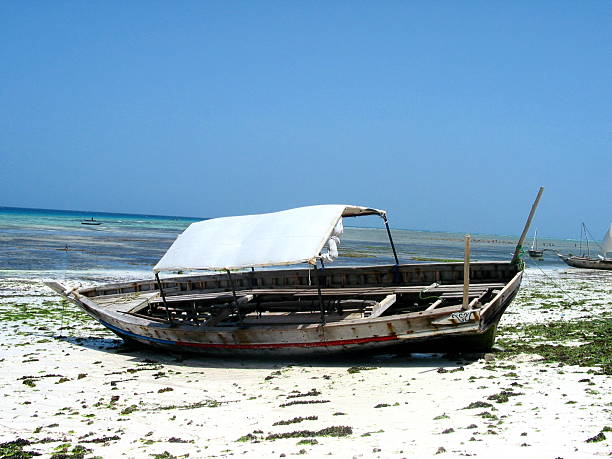 Zanzibar で撚り線 ストックフォト