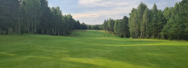 hermoso paisaje en el campo de golf al final del verano - on top of grass scenics field fotografías e imágenes de stock