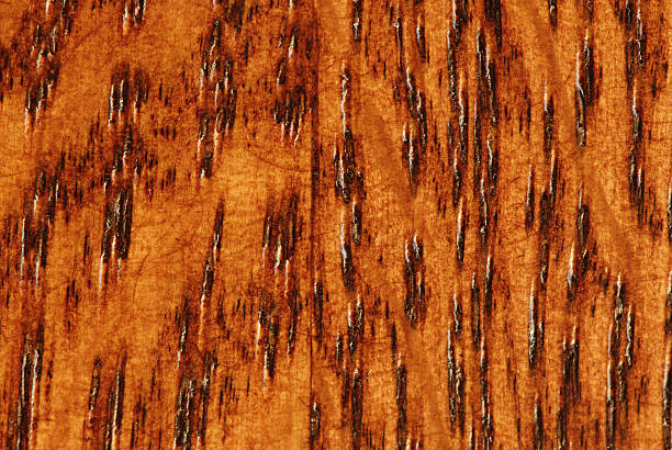 istock Macro of Oak Wood Grain 160106989