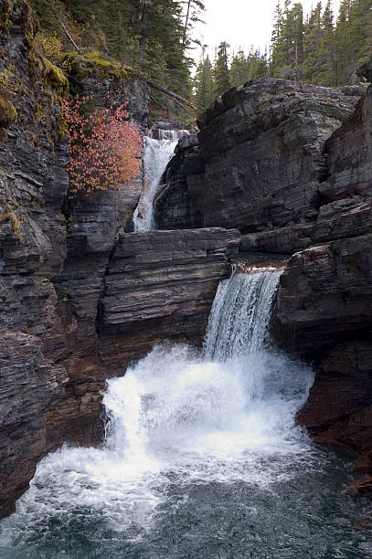 istock St. Mary Falls, Glacier National Park, MT 160107302