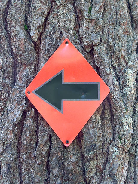 istock Arrow sign nailed to a tree. 160107784