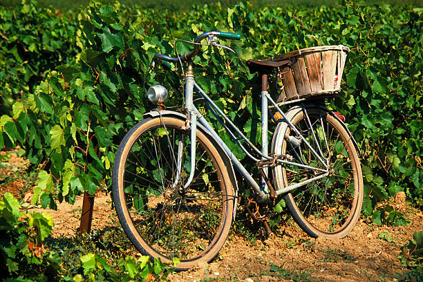 french bike in vineyard Blue French bicycle with wicker basket in vineyard red white blue bike stock pictures, royalty-free photos & images