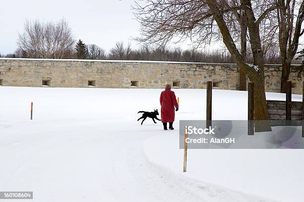 Invierno A Pie Foto de stock y más banco de imágenes de Actividades y técnicas de relajación - Actividades y técnicas de relajación, Andar, Animal