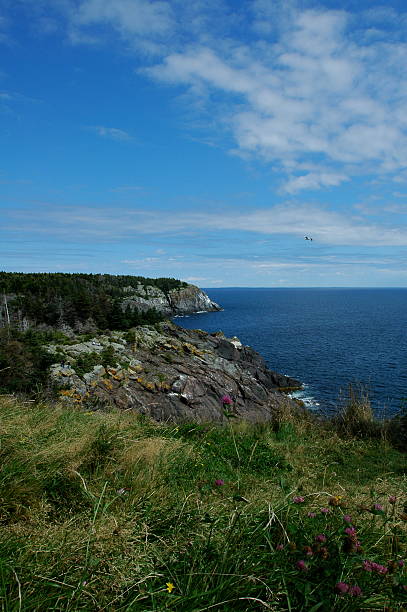 Maine coastline stock photo