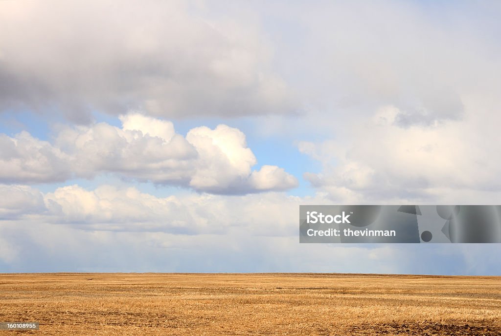 Big Sky Alberta - Photo de Agriculture libre de droits
