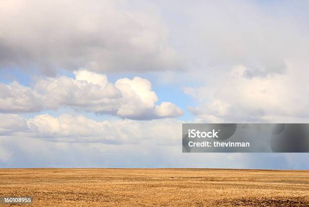 Photo libre de droit de Big Sky Alberta banque d'images et plus d'images libres de droit de Agriculture - Agriculture, Aliment, Au loin