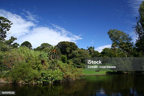 Garten Und Landschaft Stockfoto und mehr Bilder von Australien - Australien, Botanik, Fotografie