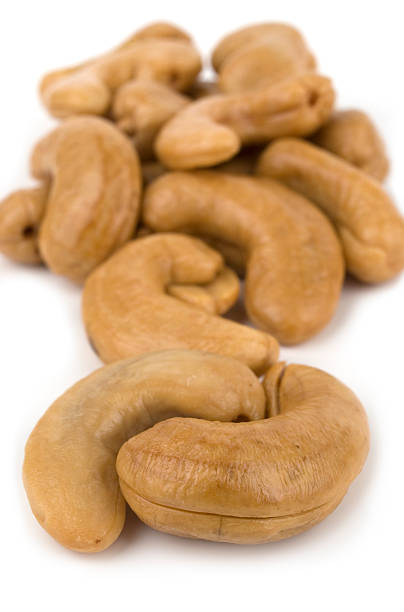 Cashew Nuts. stock photo
