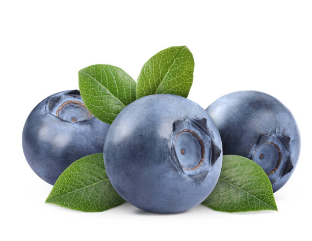 istock Fresh ripe blueberries with green leaves isolated on white 1601099150