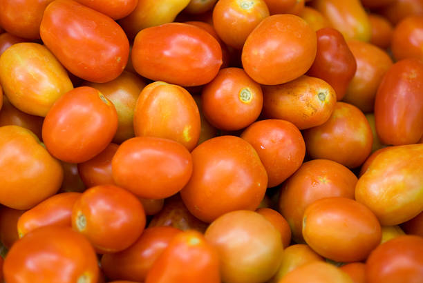 Os tomates - fotografia de stock