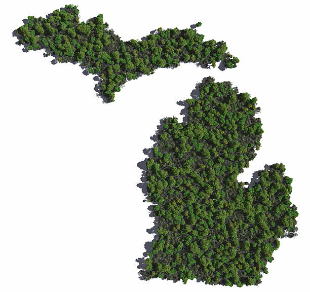 Michigan in Trees stock photo