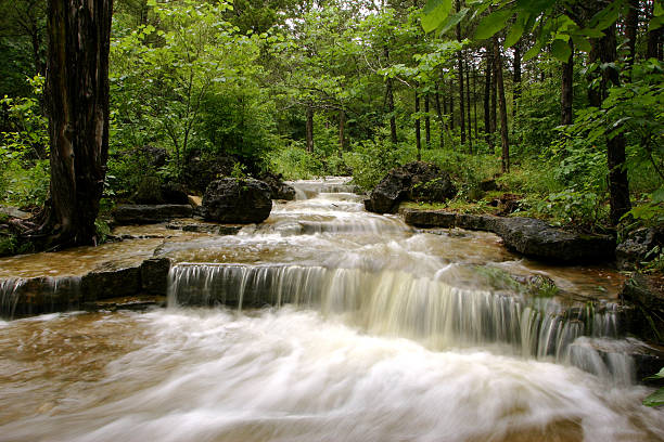 istock Canyon Creek Rapids in a green forest 160111148
