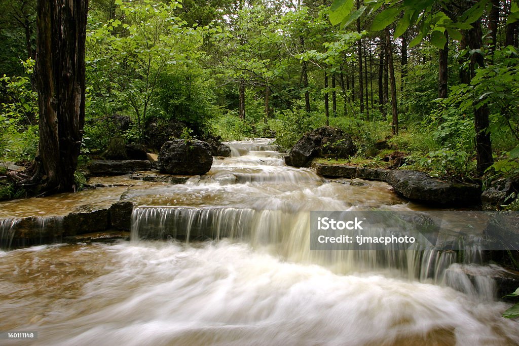 Canyon Creek Rapids in a green forest falls in canyon creek Branson - Missouri Stock Photo