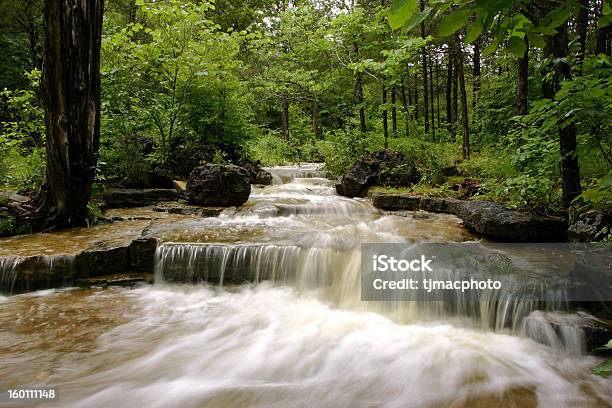 Canyon Creek Rapids In A Green Forest Stock Photo - Download Image Now - Branson - Missouri, Missouri, Ozark Mountains