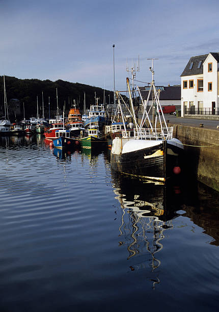istock Fishing boats in Stornoway harbour 160111359
