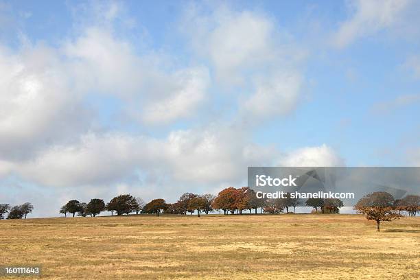 Calma Turva Sonhador Feild - Fotografias de stock e mais imagens de Universidade de Oklahoma - Universidade de Oklahoma, Cena de tranquilidade, Fofo - Texturizado