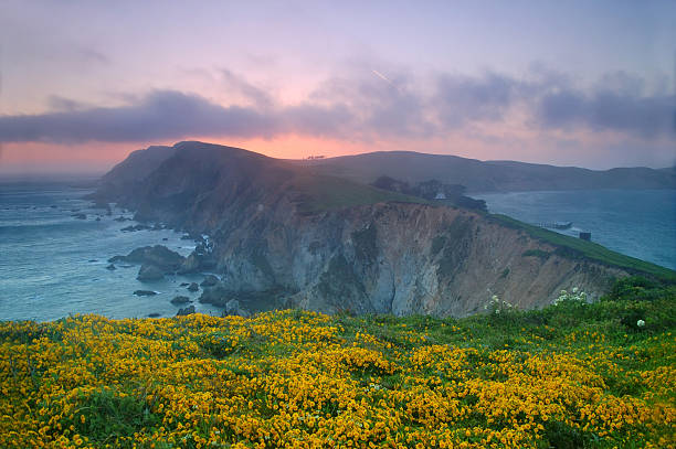 point reyes sonnenuntergang - point reyes national seashore northern california beach california stock-fotos und bilder