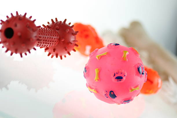 dog toys