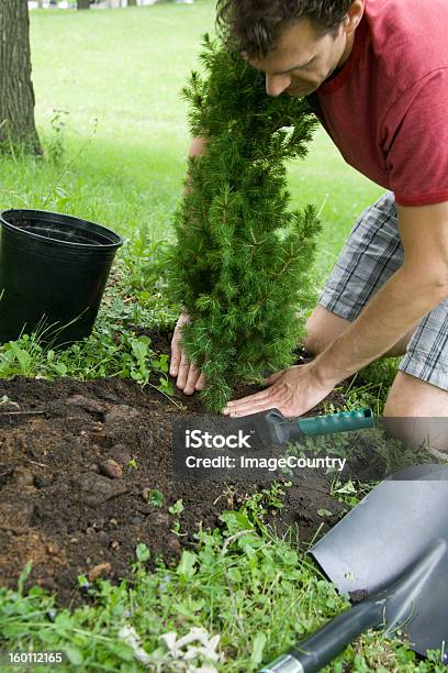 Foto de Jovem Plantio Uma Pequena Árvore e mais fotos de stock de Calção - Calção, Camiseta, Campo