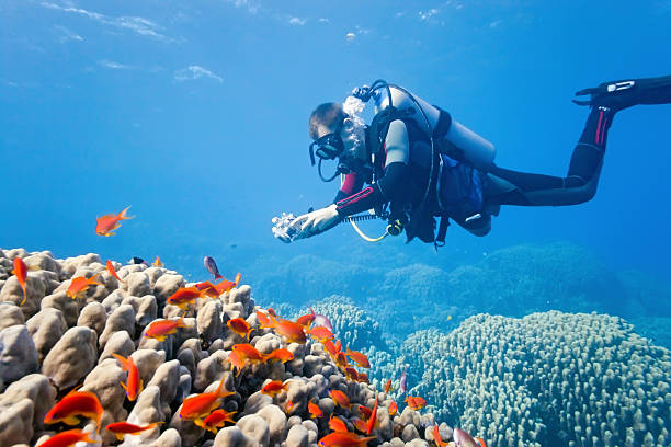 istock Photographer  on the coral reef 160112445