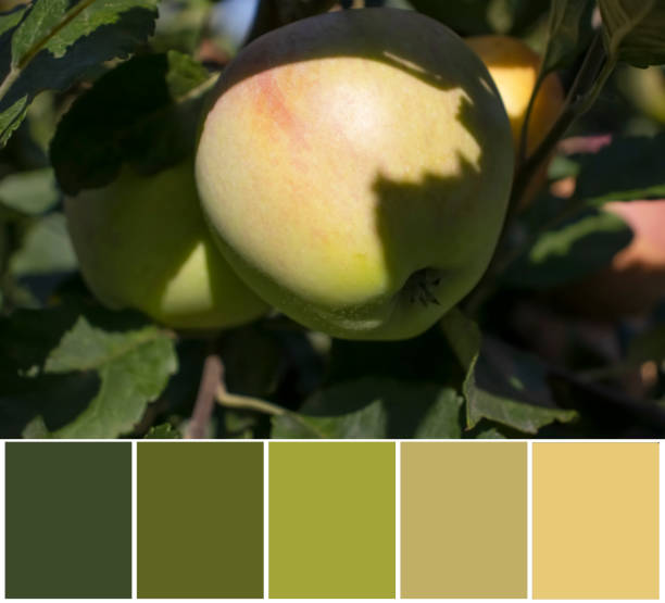 istock apple on branch, color swatch, palette 1601126271