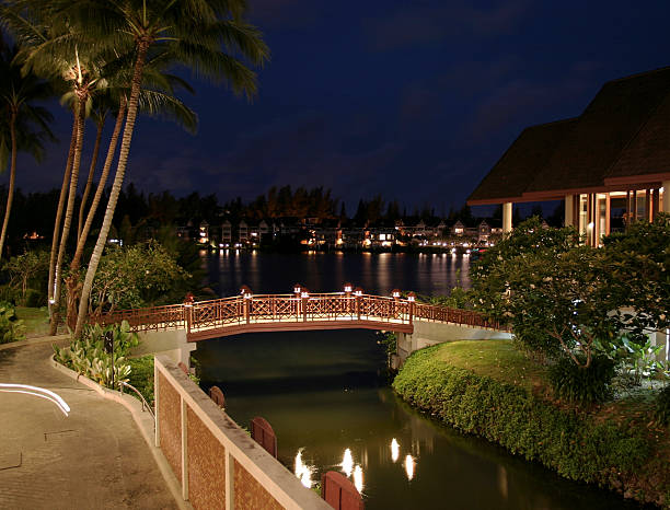 ponte a phuket - luxury hotel palm tree lush foliage asia foto e immagini stock