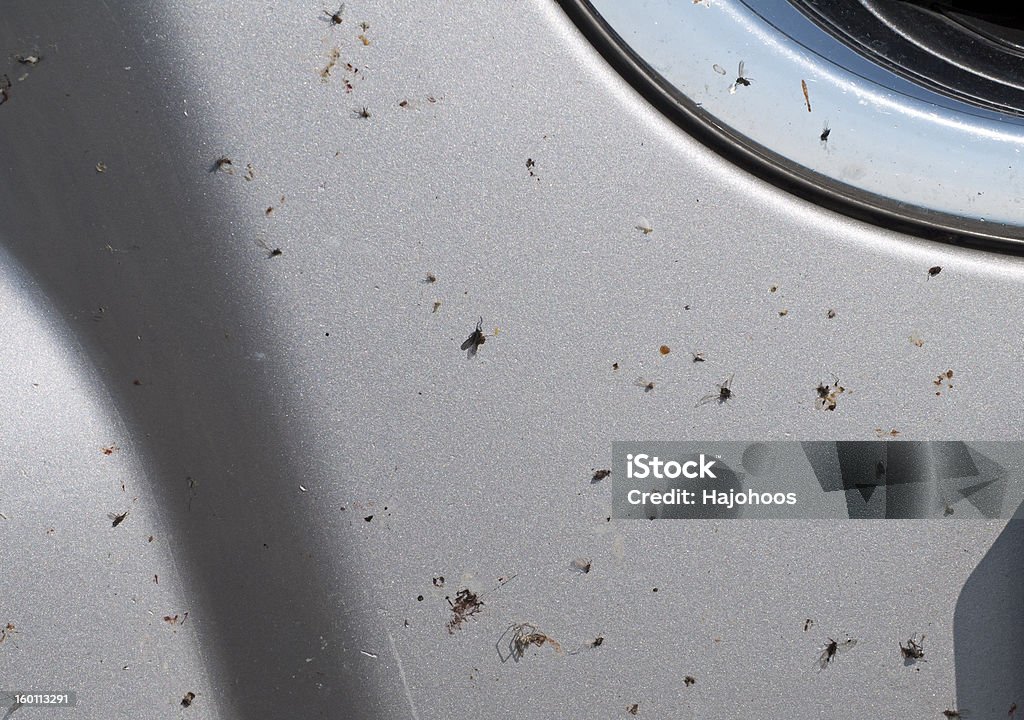 Smashed Insects at Car front Some death insects at front part of silver car. Close up. Car Stock Photo