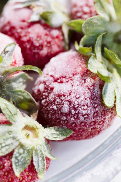 frozen strawberries - wet strawberry macro fruit imagens e fotografias de stock