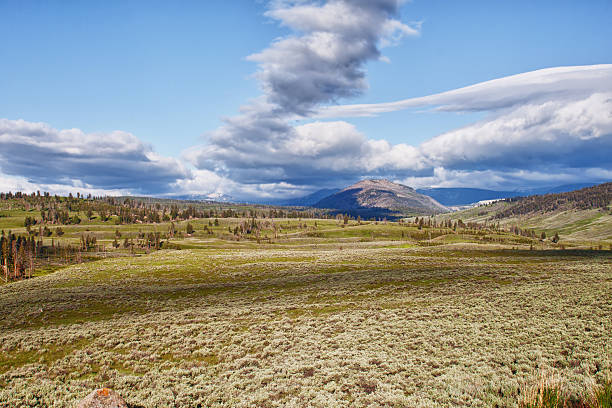 istock Lamar Valley in Yellowstone 160114360
