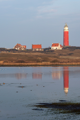 Lighthouse of Texel with reflection in a pond.