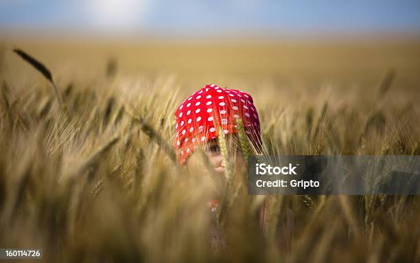 Photo libre de droit de Petite Fille Dans Un Champ De Maïs banque d'images et plus d'images libres de droit de Automne - Automne, Bébé, Bébés filles