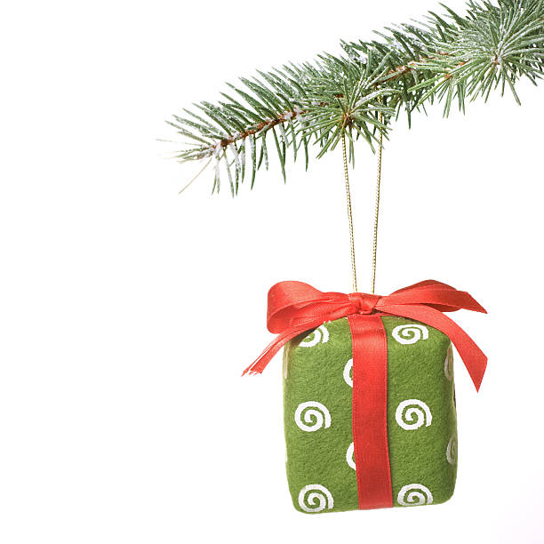 istock Christmas gift on fir tree branch with snow 160115004