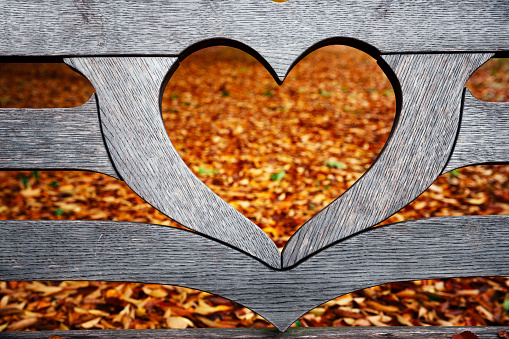 Looking through the heart-shaped bench in the park full of autumn leaves.