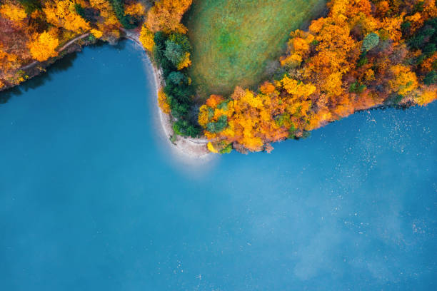 istock Autumn At The Lake 1601153572
