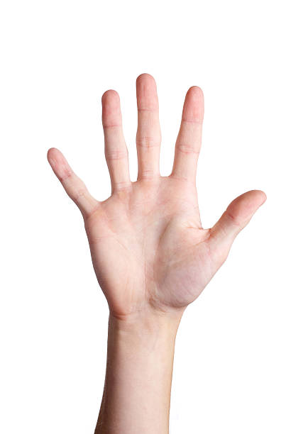 istock Hand with 5 fingers pointing upwards 160115432