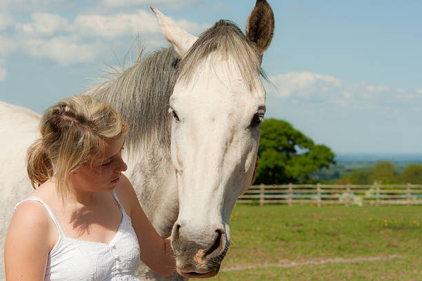Close up of pretty girl and beautiful dapple grey horse Head shot of pretty blond girl sharing a quiet moment with a beautiful large dapple grey horse in field in english countryside. dapple gray horse standing silver stock pictures, royalty-free photos & images