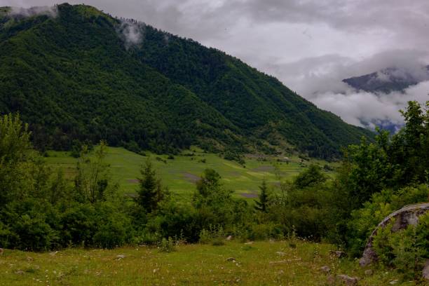 istock a cloudy day at a lush, mountainous, valley on a hillside 1601161570
