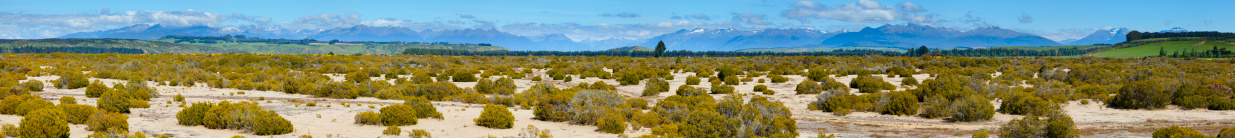 Panoramic view of New Zealand countryside with mountains in the background