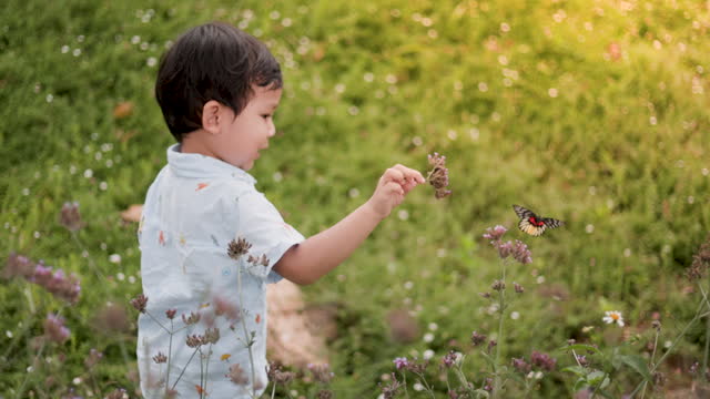 boy in the pink purple flower field with butterfly flying around, Hand touching the  flower