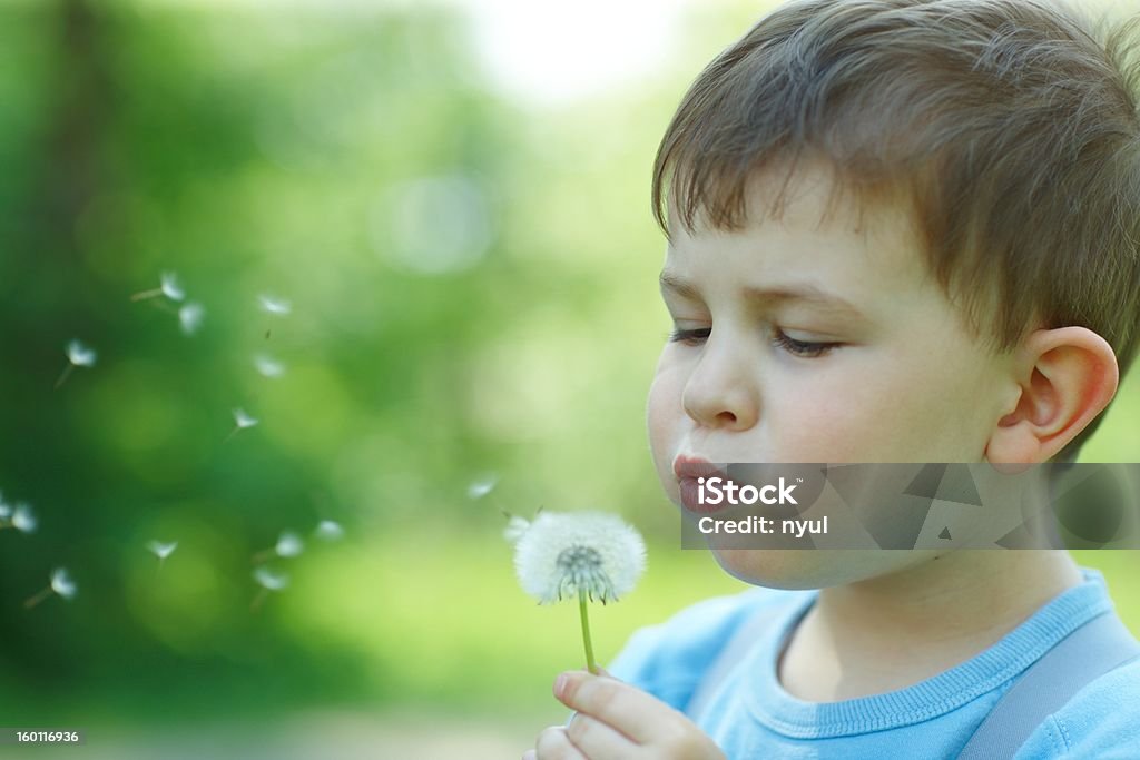 Child blowing Dandellion seed Four years old child blowing Dandelion seed outdoor in spring garden. 2-3 Years Stock Photo