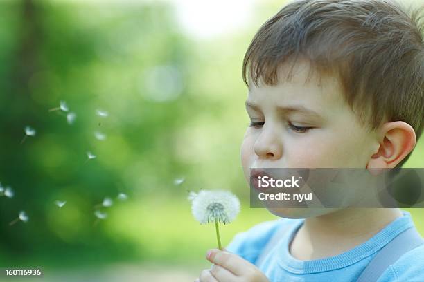 Child Blowing Dandellion Seed Stock Photo - Download Image Now - 2-3 Years, Beauty In Nature, Blowing